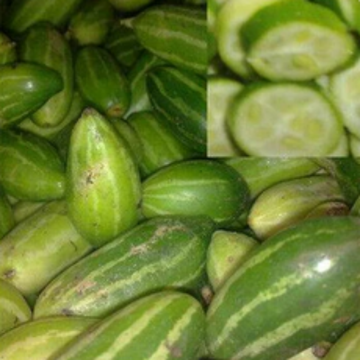 Coccinia Grandis , Tindora - 50 Seeds Pack