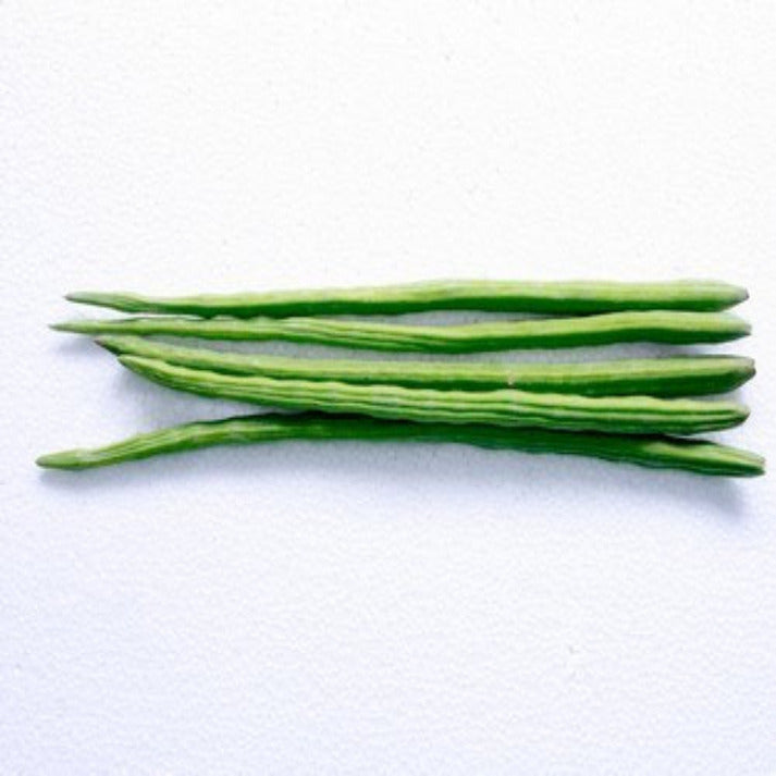 Drumstick Periyakulam PKM Bush Type (Moringa oleifera) - 15 Seeds