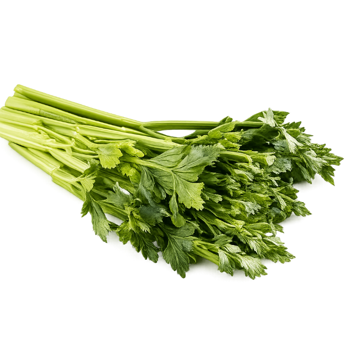 NM - Herb Celery ,Apium Graveolens - 500 Seeds