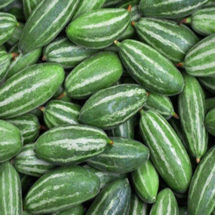 Trichosanthes Dioica, Pointed Gourd - 25 Seeds Pack