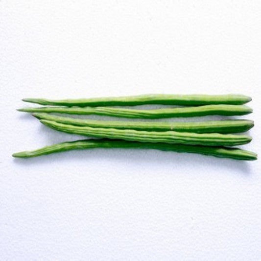 Drumstick Periyakulam PKM Bush Type (Moringa oleifera) - 15 Seeds