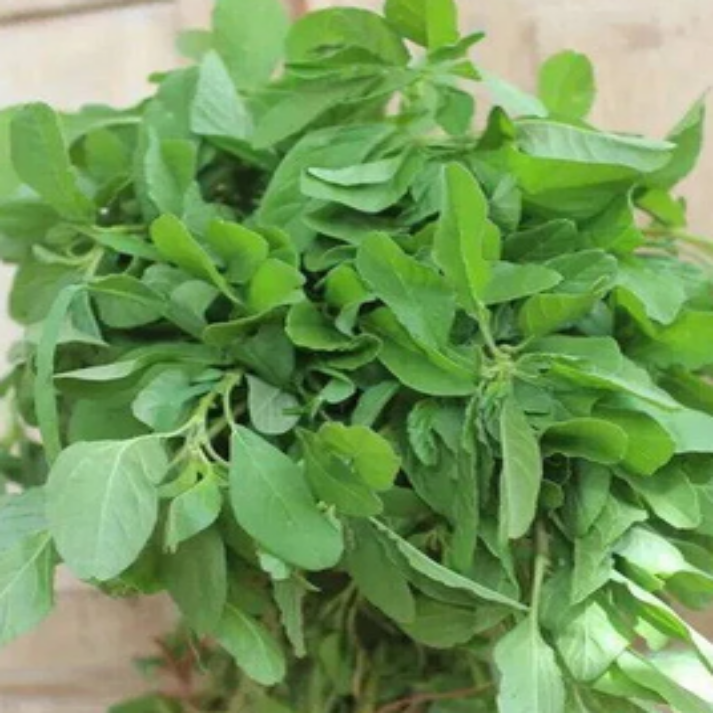Green Amaranth, Arai Keerai - 500 Seeds Pack