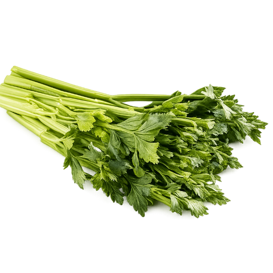 NM - Herb Celery ,Apium Graveolens - 500 Seeds