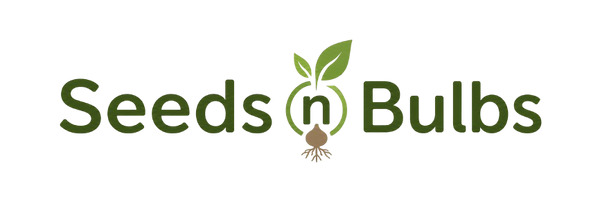 Seed by Post