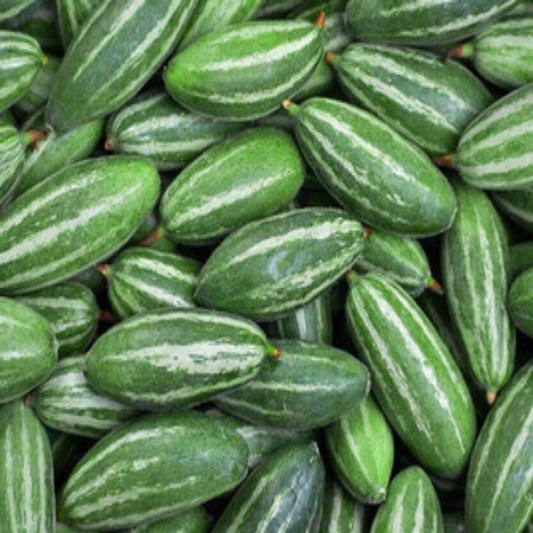 Trichosanthes Dioica,  Pointed Gourd - 25 Seeds Pack