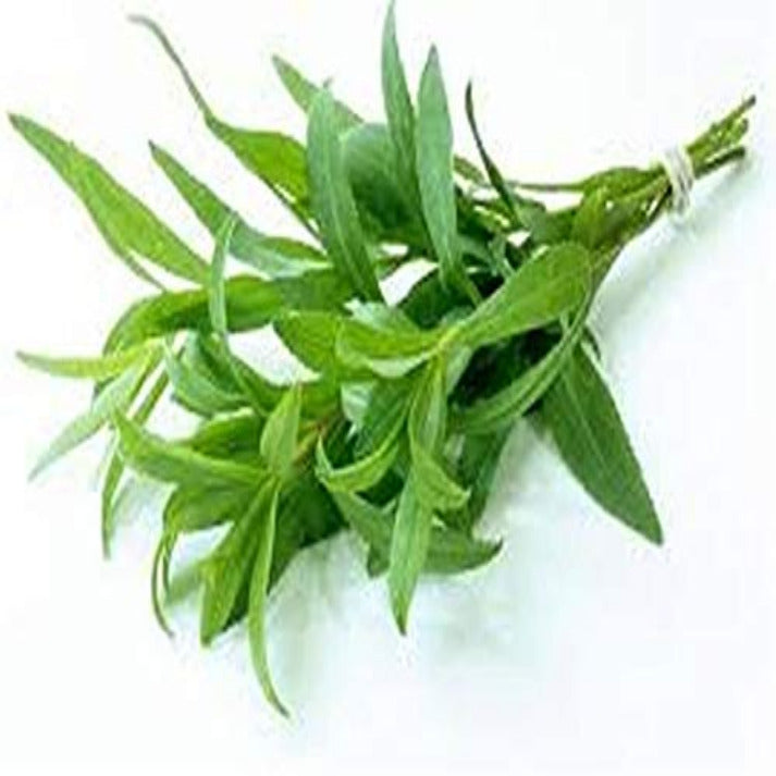 Tarragon , Artemisia Dracunculus - 50 Seeds Pack