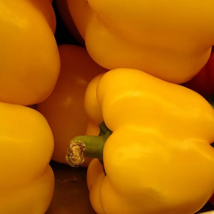 Capsicum Annuum , Capsicum Yellow Wonder - 100 Seeds